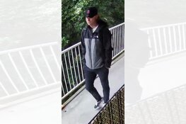 Gezocht: Wie zijn deze inbrekers?