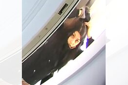 Gezocht: Woninginbraak, politie vraagt om herkenning