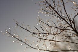 Wisselvallig winterweer houdt aan