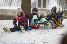 Winterse zondag in beeld