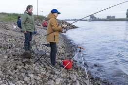 Junior IJsselfestijn Brummen