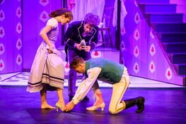 Assepoester De Musical in Schouwburg Amphion, Doetinchem