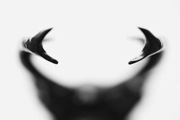 Doe nu mee aan de Gelderse Natuurfotowedstrijd 2023