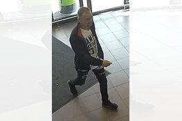 Gezocht: Zakkenrollen Zaagmolenpad