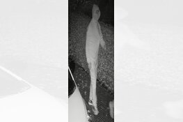 Gezocht: Woninginbraak Kerkstraat – Gaanderen