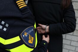 Politie houdt twee nepagenten aan in Varsseveld