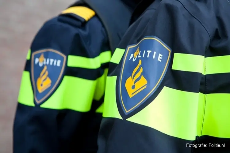 Vier nepagenten aangehouden