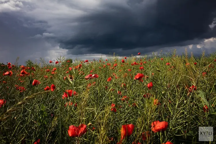 Warm weekend met kans op onweer, daarna wisselvallige zomerweek voor de boeg