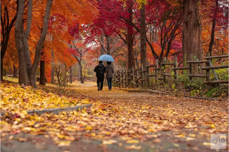 Weerbeeld blijft zacht voor de tijd van het jaar