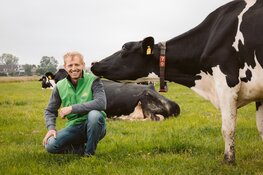 Campina Open Boerderijdagen 2026: boerderijen in Gelderland open voor publiek