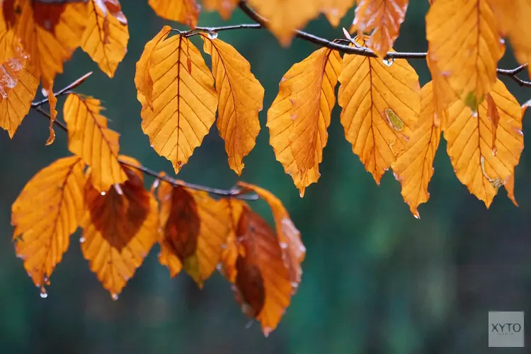 Laatste weekend van augustus zeer wisselvallig: verkoeling zet door met start meteorologische herfst